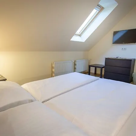 Castrum Vendeghaz Guest house 3*