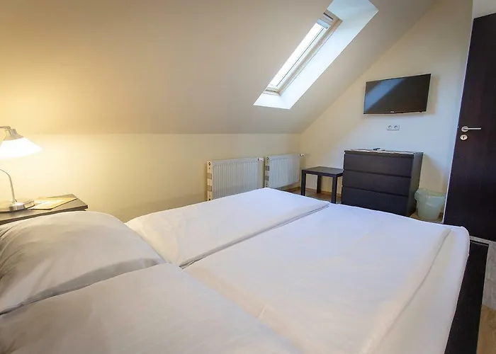 Castrum Vendeghaz Guest house 3*
